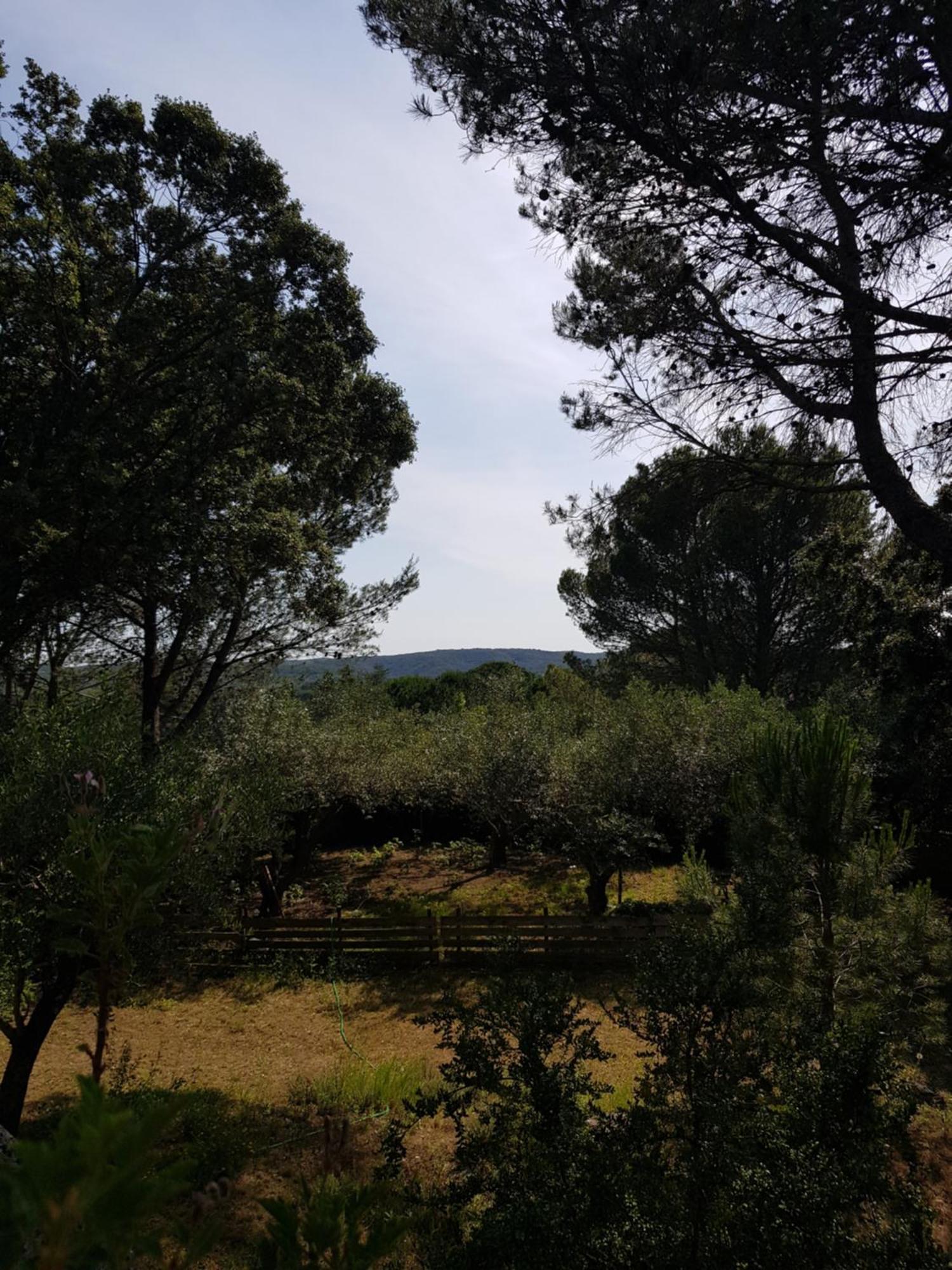 Maison Au Calme Castillon-du-Gard Esterno foto